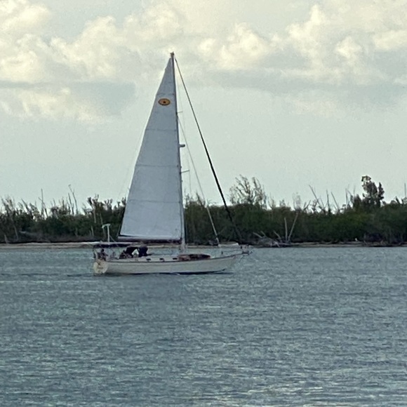 Meet your Posher, Amy - Picture 3 of 16